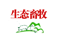 预包装食品批发的店名字，这几个细节别忽略